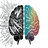 Neurospicey GPT – Neurodivergent AI Brain Companion for ADHD, Autism & Executive Disfunction Support
